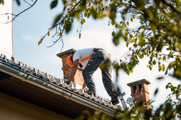 Roof Repair Estimates in Freedom, CA